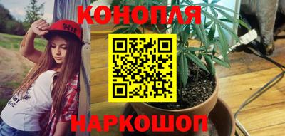 гидра Краснодар